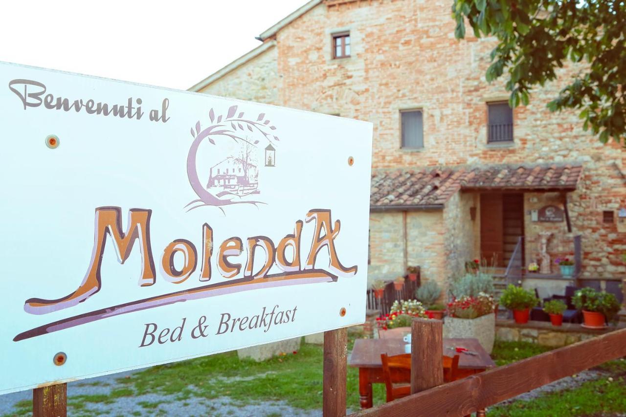 Molenda B&B 치타디카스텔로 외부 사진